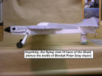 Kim Stricker's Shark 15 short kit from LazerWorks - Airplanes and Rockets