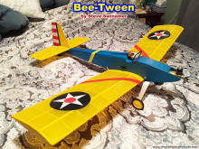 Bee-Tween ready to fly (Steve Swinamer) - Airplanes and Rockets