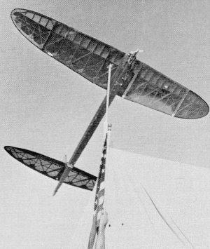After an official flight, Schwartz's plane dethermalized right onto the flag pole - Airplanes and Rockets