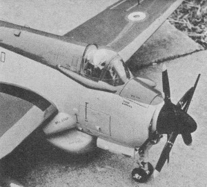 Driven by two O. S. engines, coaxial prop Fairey Gannet by Bruce Randle was 1st - Airplanes and Rockets