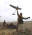 AeroVironment Wins $23.9M Order for Army and Marine Corps Digital Raven Systems